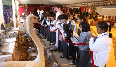 Halal Qatar Festival